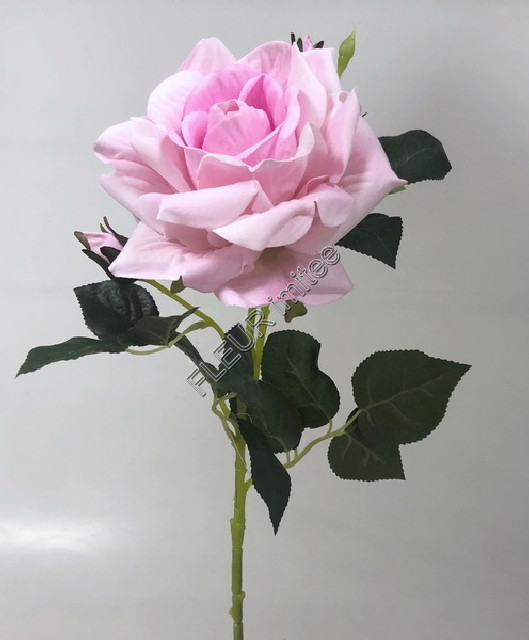 Růže velvet LUX 72cm 24/192