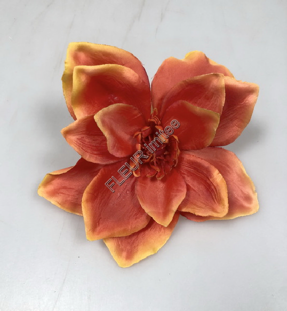 Květ magnolie 12cm    6/120