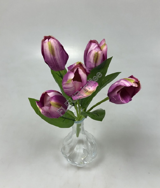 Tulipán x5 31cm list latex 48/288