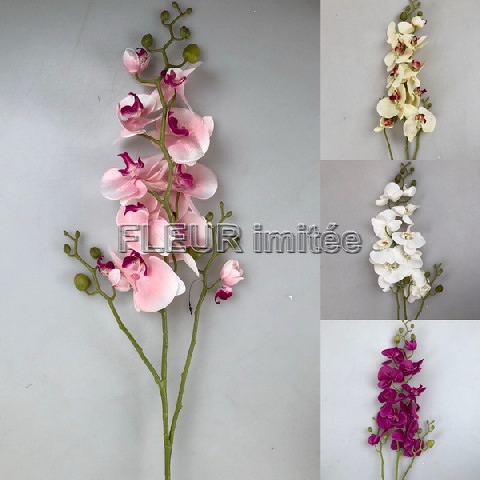 Orchidea LUX 120cm CREAM 24/120