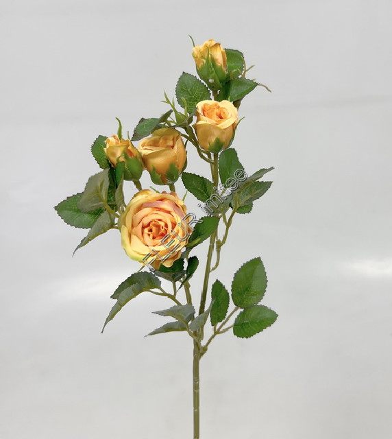 Větev růže 50cm  48/480