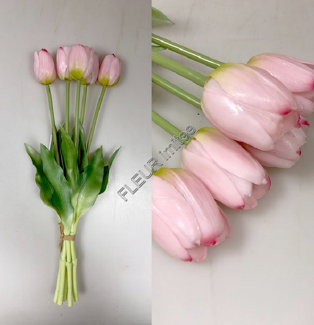 Tulipán x5 latex 40cm 12/96