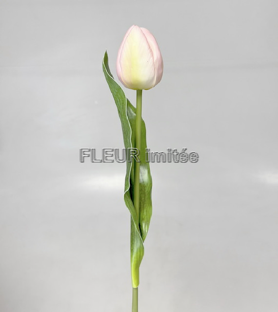 Tulipán x3 latex/pěna 45cm 48