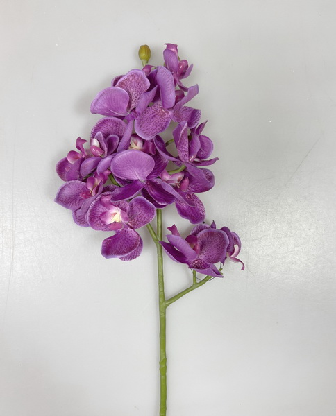 Orchidea x3  55cm 36/360
