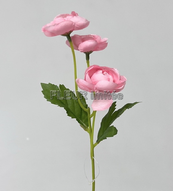 Ranunculus záp.31cm 36/288