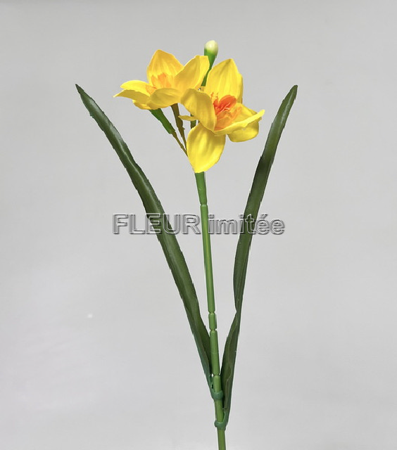 Narcis x3 42cm 12/144