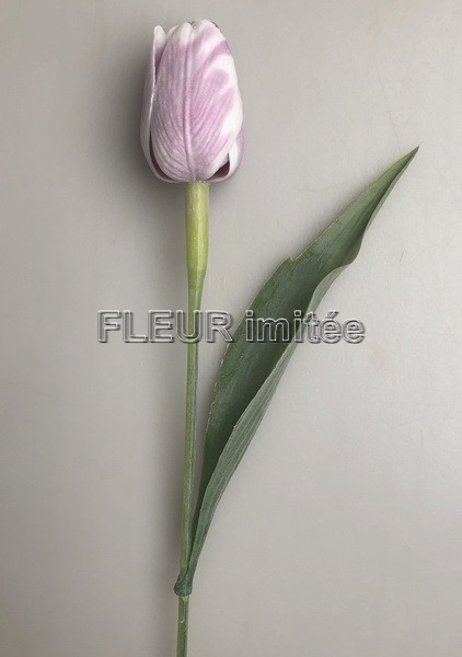 Tulipán x1 plast 40cm 144/1440