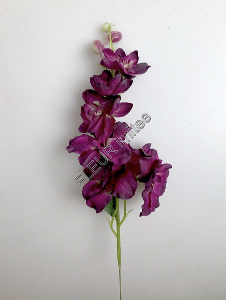 Delphinium záp.23cm S476 12/120