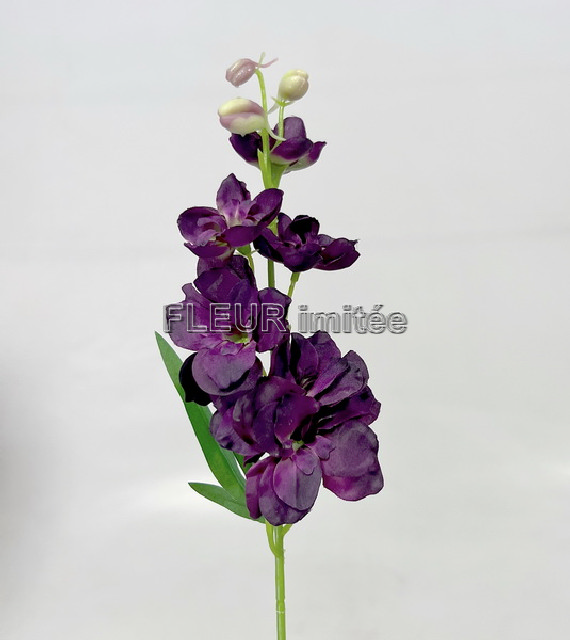 Delphinium záp.23cm S476 12/120