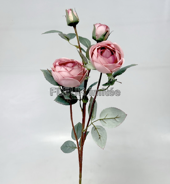 Růže x4 velvet  70cm 12/120