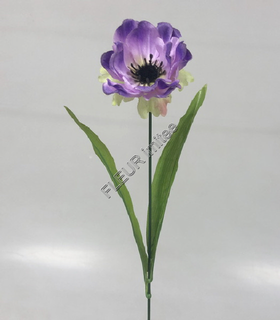 Anemonka x1 45cm 12/96