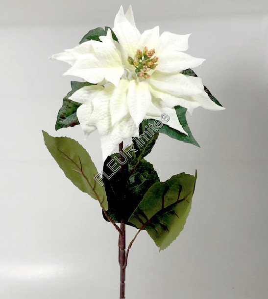 Poinsettia x1 70cm velvet 12/144