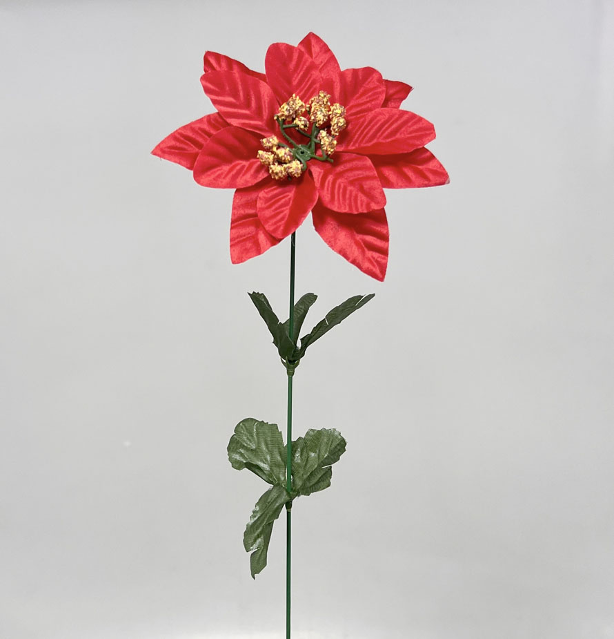 Poinsettia x1 60cm 24/288