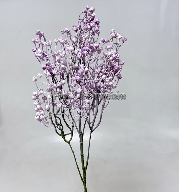 Gypsophila x5  70cm 12/96