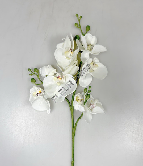 Orchidea x3  78cm 24/240