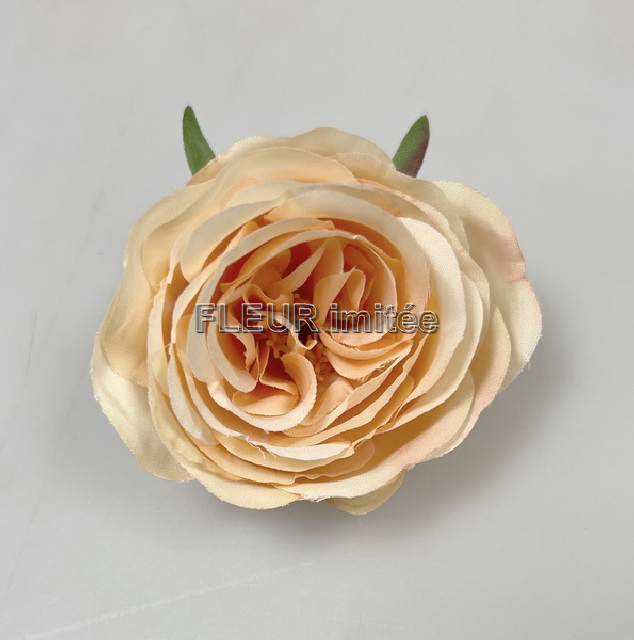 Květ růže Vera 7cm 24/1080