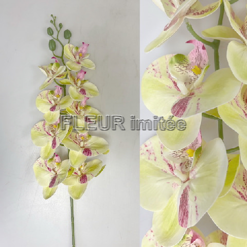 Orchidea phal.latex 95cm 24/120