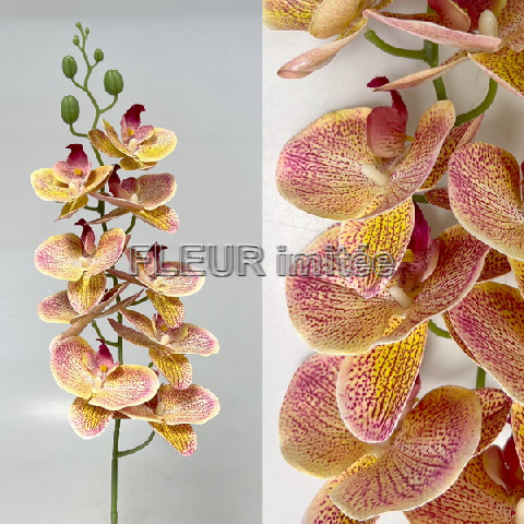 Orchidea phal.latex 95cm 24/120