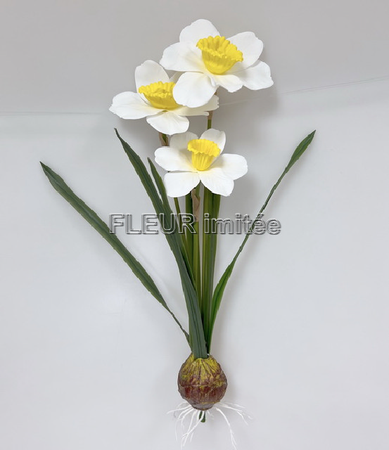 Narcis x3 s cibulkou 45cm latex 12/120