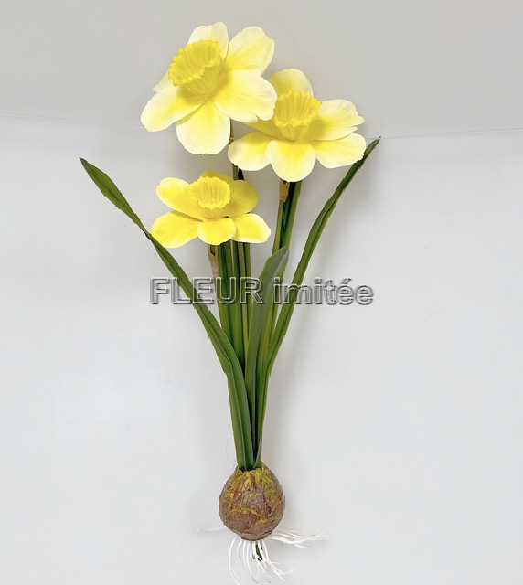 Narcis x3 s cibulkou 45cm latex 12/120