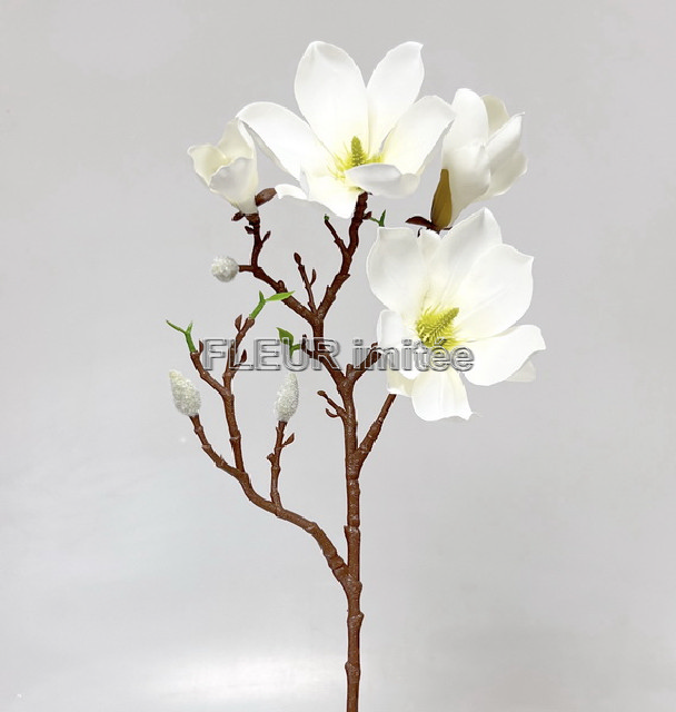 Magnolie 60cm 36/180