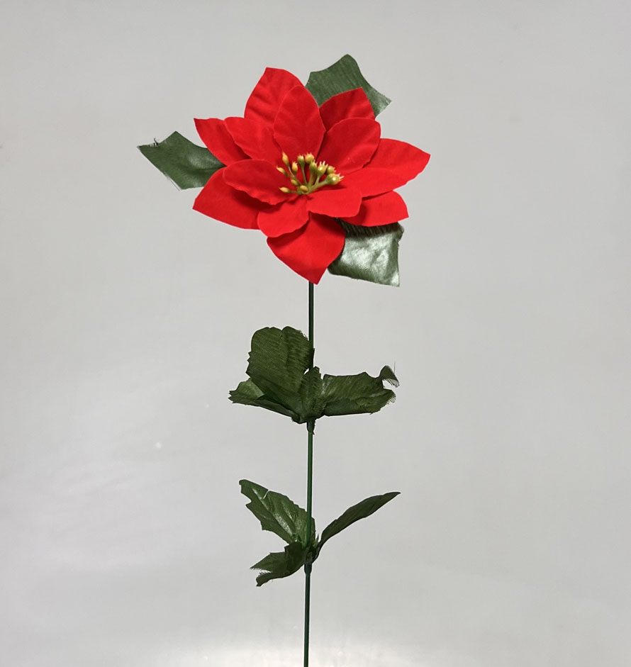 Poinsettia 11cm/50cm    24/360