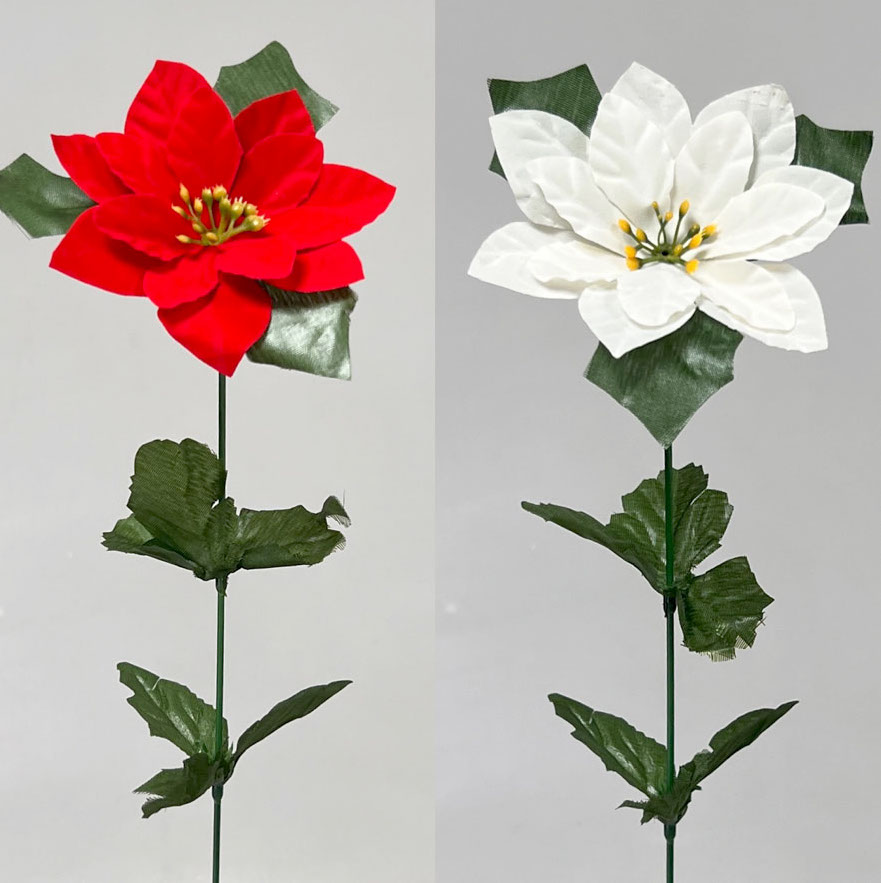 Poinsettia 11cm/50cm    24/360