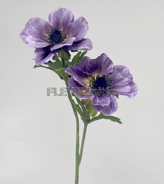 Anemone x2 50cm 24/192